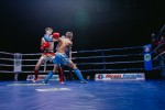 Международный профессиональный турнир единоборств