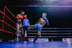 Международный профессиональный турнир единоборств