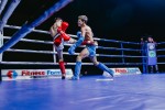 Международный профессиональный турнир единоборств