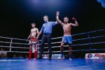 Международный профессиональный турнир единоборств