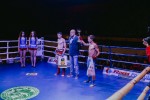 Международный профессиональный турнир единоборств