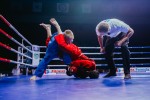 Международный профессиональный турнир единоборств