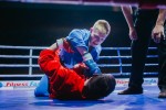 Международный профессиональный турнир единоборств