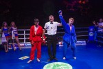 Международный профессиональный турнир единоборств