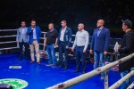 Международный профессиональный турнир единоборств