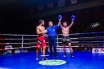 Международный профессиональный турнир единоборств