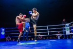 Международный профессиональный турнир единоборств
