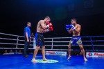 Международный профессиональный турнир единоборств