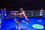 Международный профессиональный турнир единоборств