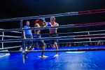 Международный профессиональный турнир единоборств