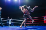 Международный профессиональный турнир единоборств