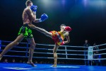 Международный профессиональный турнир единоборств
