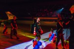 Международный профессиональный турнир единоборств