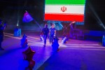 Международный профессиональный турнир единоборств