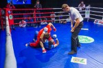 Международный профессиональный турнир единоборств