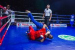 Международный профессиональный турнир единоборств